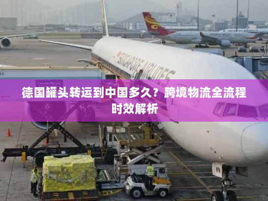 德国罐头转运到中国多久?跨境物流全流程时效解析 德国罐头转运到中国多久?跨境物流全流程时效解析