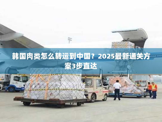 韩国肉类怎么转运到中国?2025最新通关方案3步直达 韩国肉类怎么转运到中国?2025最新通关方案3步直达