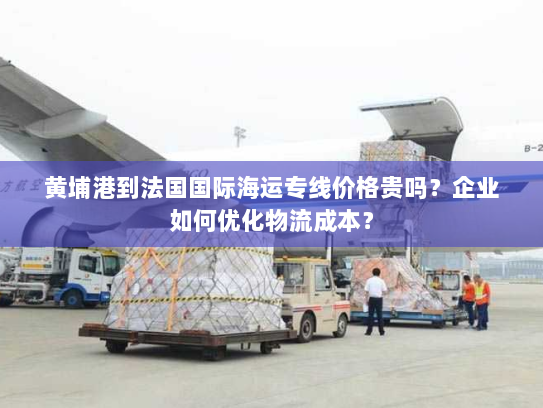 黄埔港到法国国际海运专线价格贵吗？企业如何优化物流成本？