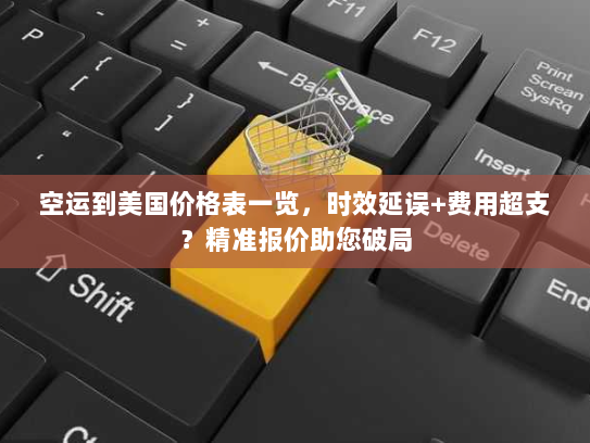 空运到美国价格表一览，时效延误+费用超支？精准报价助您破局