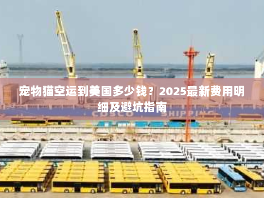 宠物猫空运到美国多少钱?2025最新费用明细及避坑指南 宠物猫空运到美国多少钱?2025最新费用明细及避坑指南