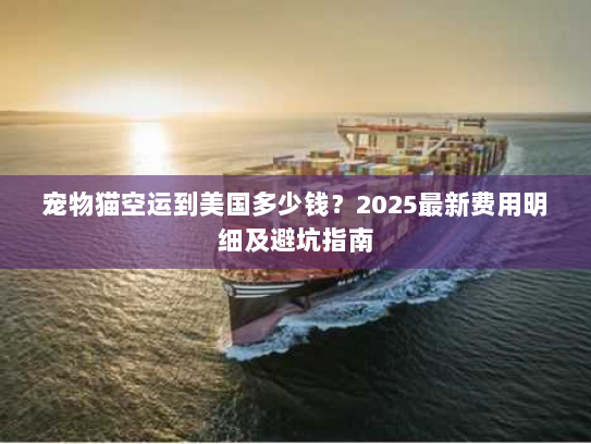 宠物猫空运到美国多少钱？2025最新费用明细及避坑指南