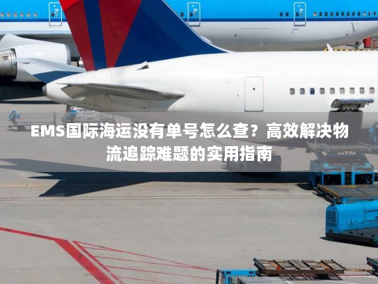 EMS国际海运没有单号怎么查？高效解决物流追踪难题的实用指南