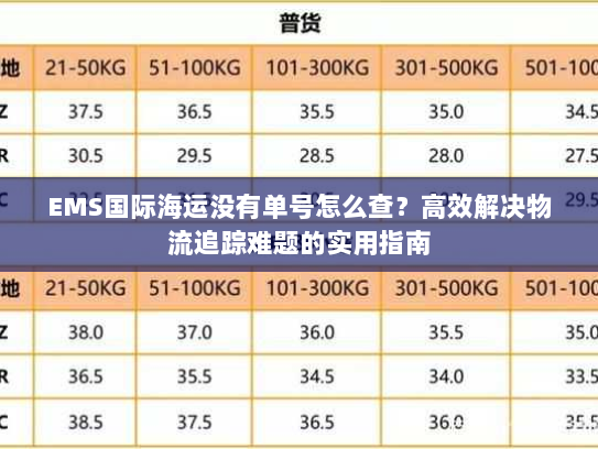 EMS国际海运没有单号怎么查？高效解决物流追踪难题的实用指南