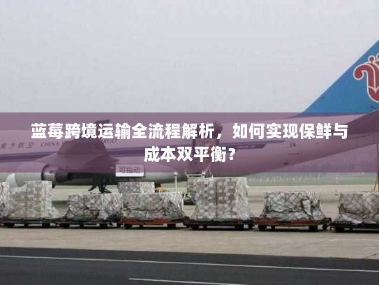 蓝莓跨境运输全流程解析,如何实现保鲜与成本双平衡? 蓝莓跨境运输全流程解析,如何实现保鲜与成本双平衡?