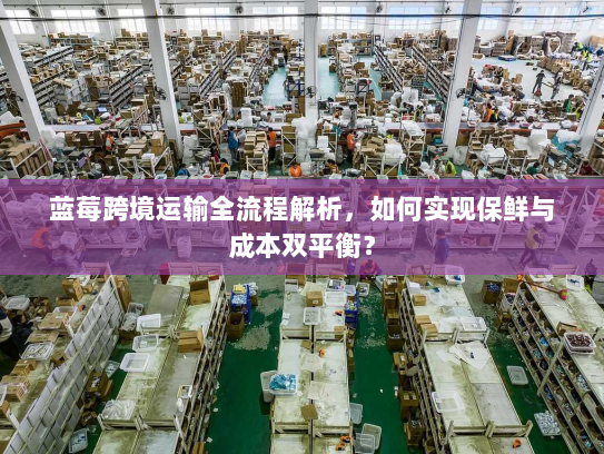 蓝莓跨境运输全流程解析，如何实现保鲜与成本双平衡？