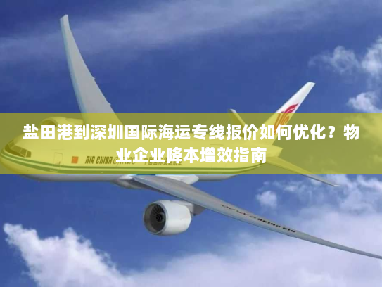 盐田港到深圳国际海运专线报价如何优化?物业企业降本增效指南 盐田港到深圳国际海运专线报价如何优化?物业企业降本增效指南