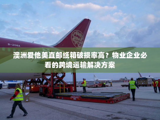 澳洲爱他美直邮纸箱破损率高？物业企业必看的跨境运输解决方案