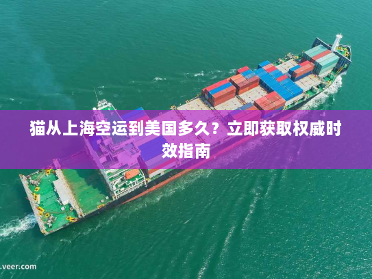猫从上海空运到美国多久？立即获取权威时效指南