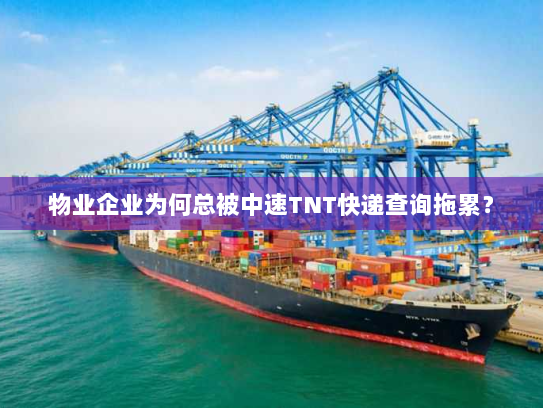 物业企业为何总被中速TNT快递查询拖累？