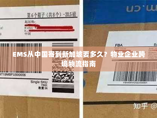 EMS从中国寄到新加坡要多久？物业企业跨境物流指南