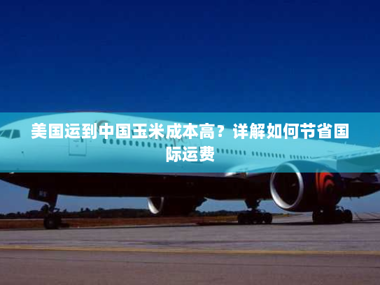 美国运到中国玉米成本高?详解如何节省国际运费 美国运到中国玉米成本高?详解如何节省国际运费