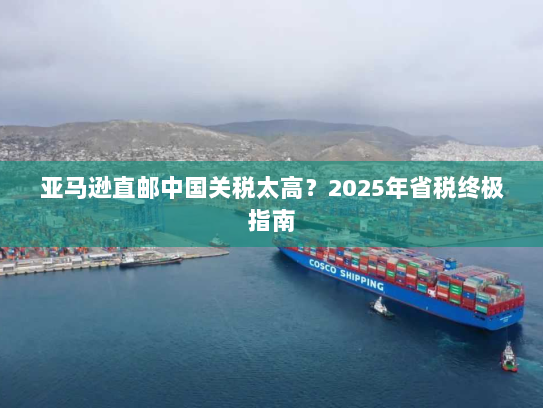 亚马逊直邮中国关税太高？2025年省税终极指南