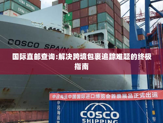 国际直邮查询:解决跨境包裹追踪难题的终极指南 国际直邮查询:解决跨境包裹追踪难题的终极指南