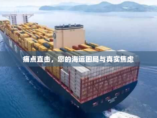 痛点直击,您的海运困局与真实焦虑 痛点直击,您的海运困局与真实焦虑