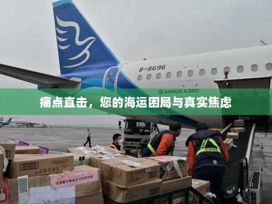 痛点直击,您的海运困局与真实焦虑 痛点直击,您的海运困局与真实焦虑