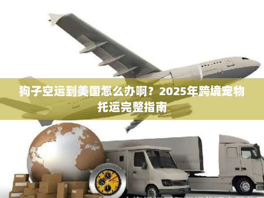 狗子空运到美国怎么办啊？2025年跨境宠物托运完整指南
