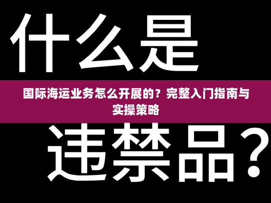 国际海运业务怎么开展的?完整入门指南与实操策略 国际海运业务怎么开展的?完整入门指南与实操策略