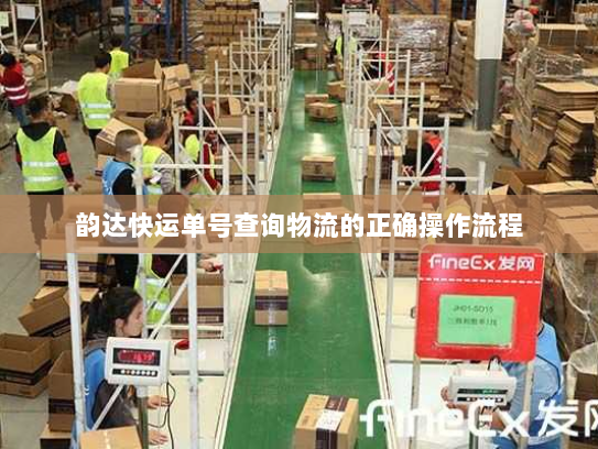 韵达快运单号查询物流的正确操作流程 韵达快运单号查询物流的正确操作流程