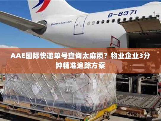 AAE国际快递单号查询太麻烦？物业企业3分钟精准追踪方案