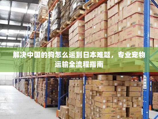 解决中国的狗怎么运到日本难题，专业宠物运输全流程指南