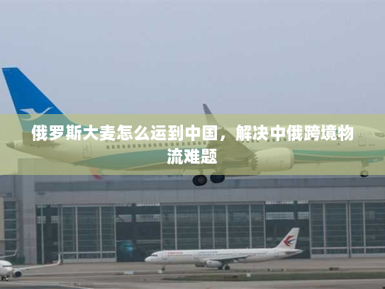 俄罗斯大麦怎么运到中国,解决中俄跨境物流难题 俄罗斯大麦怎么运到中国,解决中俄跨境物流难题