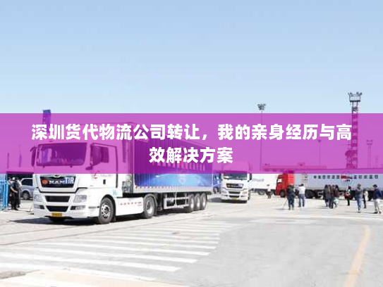 深圳货代物流公司转让，我的亲身经历与高效解决方案