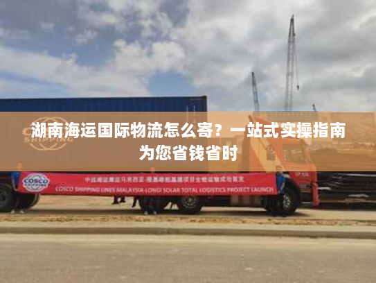 湖南海运国际物流怎么寄？一站式实操指南为您省钱省时
