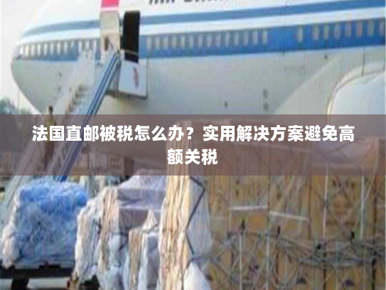 法国直邮被税怎么办?实用解决方案避免高额关税 法国直邮被税怎么办?实用解决方案避免高额关税