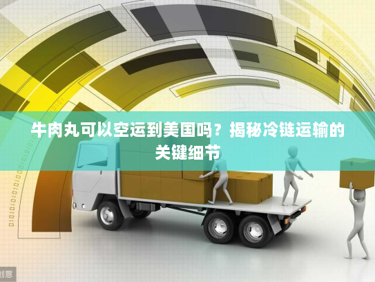 牛肉丸可以空运到美国吗？揭秘冷链运输的关键细节