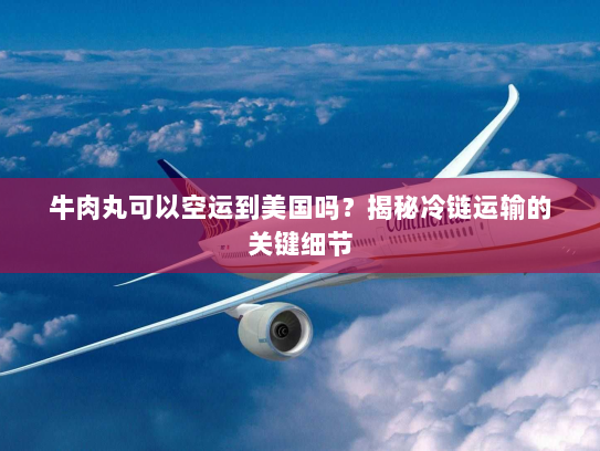 牛肉丸可以空运到美国吗？揭秘冷链运输的关键细节