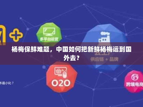 杨梅保鲜难题，中国如何把新鲜杨梅运到国外去？