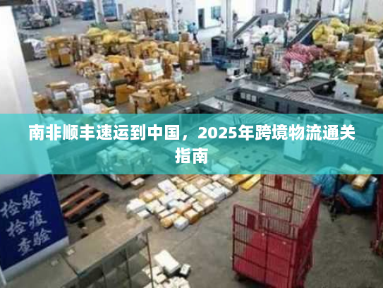 南非顺丰速运到中国，2025年跨境物流通关指南