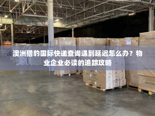 澳洲猎豹国际快递查询遇到延迟怎么办？物业企业必读的追踪攻略