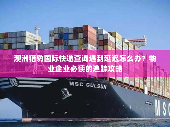 澳洲猎豹国际快递查询遇到延迟怎么办？物业企业必读的追踪攻略