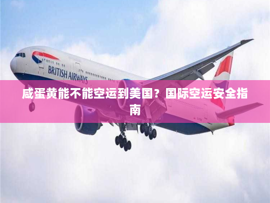 咸蛋黄能不能空运到美国?国际空运安全指南 咸蛋黄能不能空运到美国?国际空运安全指南