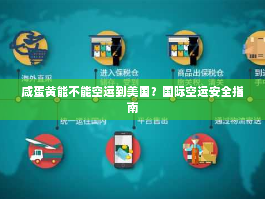 咸蛋黄能不能空运到美国?国际空运安全指南 咸蛋黄能不能空运到美国?国际空运安全指南
