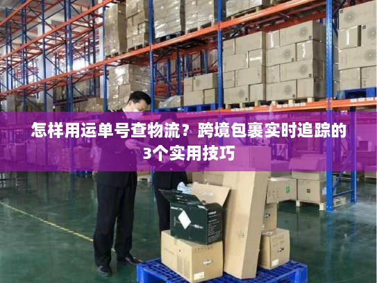 怎样用运单号查物流?跨境包裹实时追踪的3个实用技巧 怎样用运单号查物流?跨境包裹实时追踪的3个实用技巧