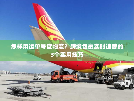 怎样用运单号查物流?跨境包裹实时追踪的3个实用技巧 怎样用运单号查物流?跨境包裹实时追踪的3个实用技巧