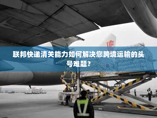 联邦快递清关能力如何解决您跨境运输的头号难题？