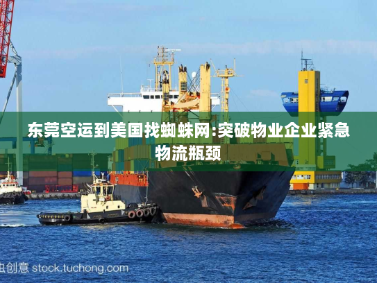 东莞空运到美国找蜘蛛网:突破物业企业紧急物流瓶颈