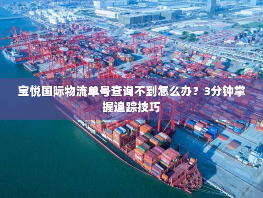 宝悦国际物流单号查询不到怎么办？3分钟掌握追踪技巧