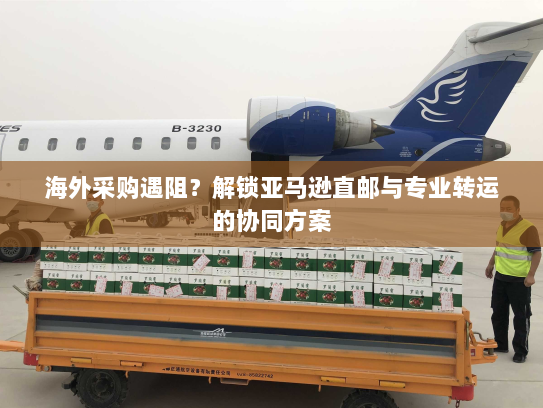 海外采购遇阻？解锁亚马逊直邮与专业转运的协同方案