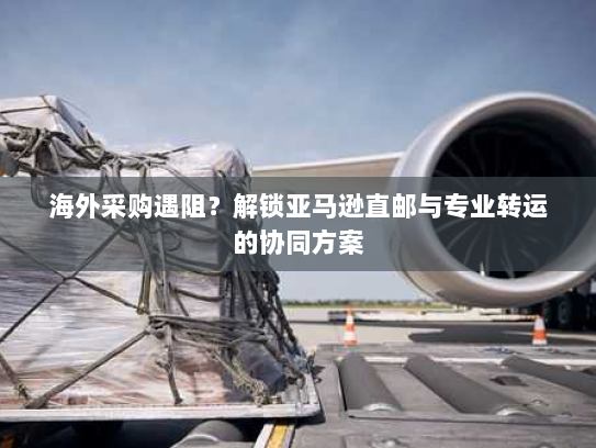 海外采购遇阻？解锁亚马逊直邮与专业转运的协同方案