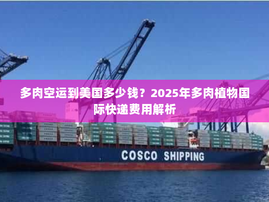 多肉空运到美国多少钱？2025年多肉植物国际快递费用解析