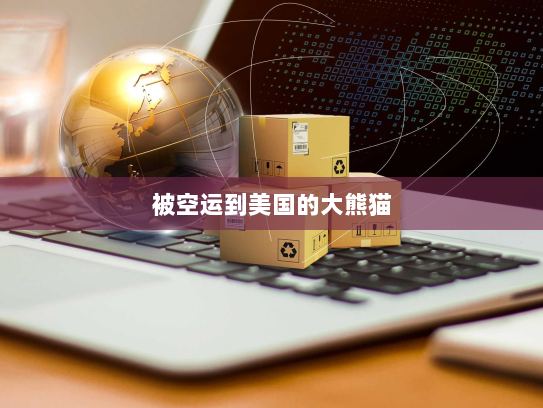 被空运到美国的大熊猫 被空运到美国的大熊猫