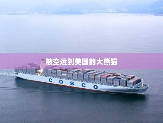 被空运到美国的大熊猫 被空运到美国的大熊猫