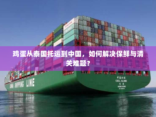 鸡蛋从泰国托运到中国，如何解决保鲜与清关难题？