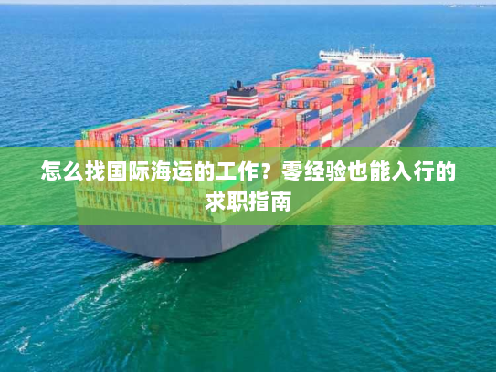 怎么找国际海运的工作？零经验也能入行的求职指南