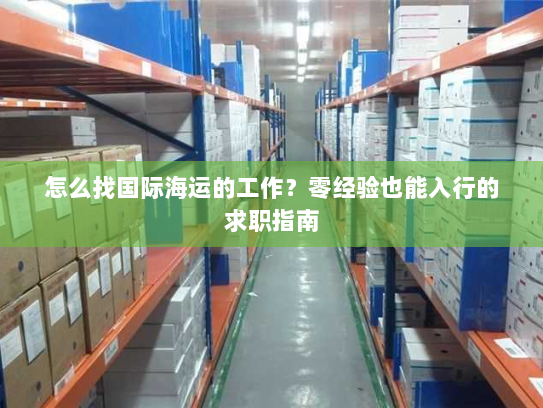 怎么找国际海运的工作？零经验也能入行的求职指南